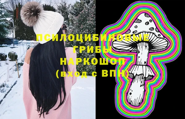2c-b Белокуриха