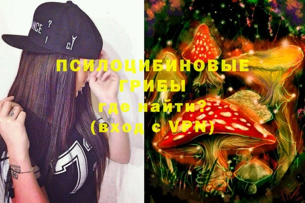 героин Богданович